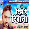 Avinash Kumar - Dil Hai Deewana - Single